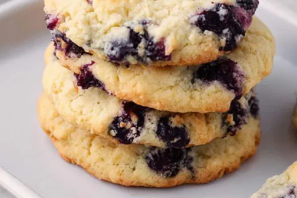 Raspberry Yogurt Sherbet