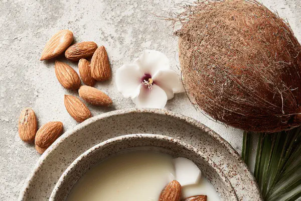 Creamy Cacao Nut Smoothie