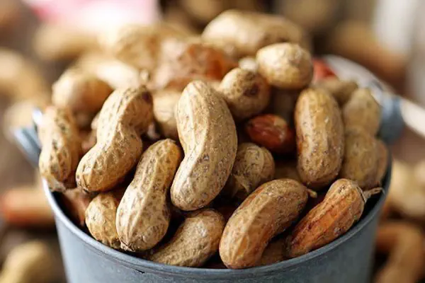Pressure Cooked Boiled Peanuts