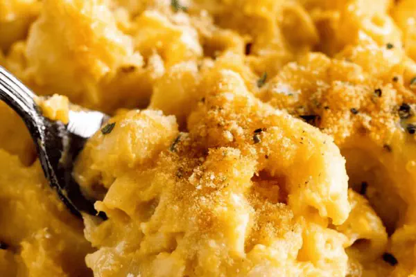 Butternut Leek Rigatoni Gratin