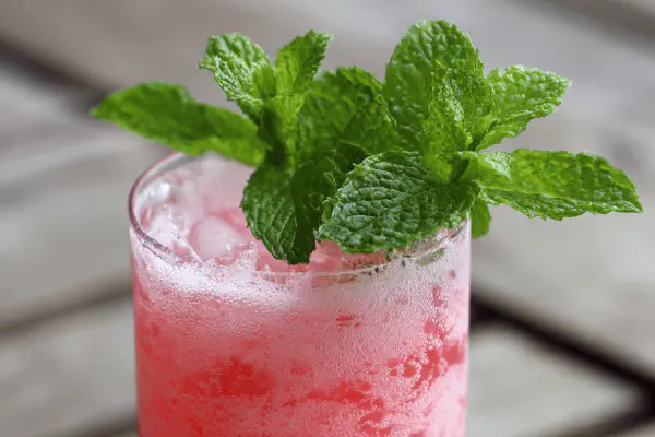 Froggy Chocolate Milk