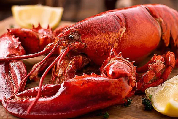 Baked Spiced Pumpkin Donuts